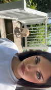 lew12001 Altpins Profile Picture