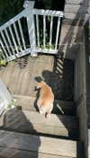 lew12001 Altpins Profile Picture