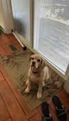 lew12001 Altpins Profile Picture
