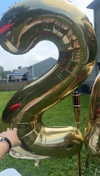 lew12001 Altpins Profile Picture