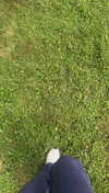 lew12001 Altpins Profile Picture