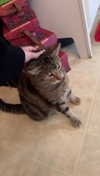 lew12001 Altpins Profile Picture