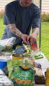 lew12001 Altpins Profile Picture