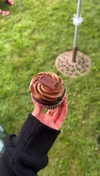 lew12001 Altpins Profile Picture