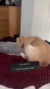 lew12001 Altpins Profile Picture
