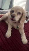 lew12001 Altpins Profile Picture