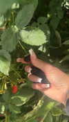 lew12001 Altpins Profile Picture