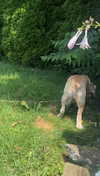 lew12001 Altpins Profile Picture