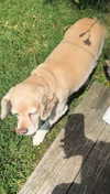 lew12001 Altpins Profile Picture