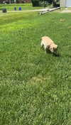 lew12001 Altpins Profile Picture