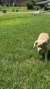 lew12001 Altpins Profile Picture