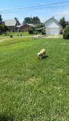 lew12001 Altpins Profile Picture