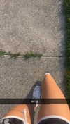 lew12001 Altpins Profile Picture