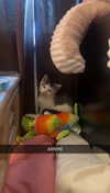 lew12001 Altpins Profile Picture