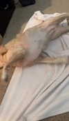 lew12001 Altpins Profile Picture