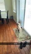 lew12001 Altpins Profile Picture