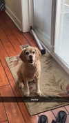 lew12001 Altpins Profile Picture