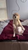 lew12001 Altpins Profile Picture