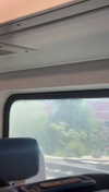 lew12001 Altpins Profile Picture