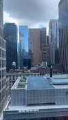 lew12001 Altpins Profile Picture