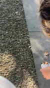 lew12001 Altpins Profile Picture