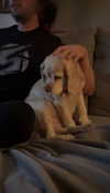 lew12001 Altpins Profile Picture
