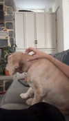 lew12001 Altpins Profile Picture