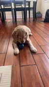 lew12001 Altpins Profile Picture
