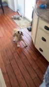 lew12001 Altpins Profile Picture