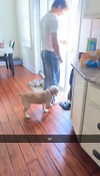 lew12001 Altpins Profile Picture