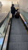 lew12001 Altpins Profile Picture