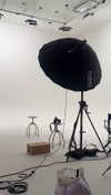 lew12001 Altpins Profile Picture