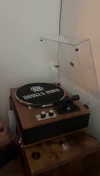 lew12001 Altpins Profile Picture