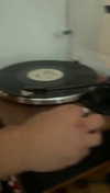 lew12001 Altpins Profile Picture