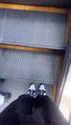 lew12001 Altpins Profile Picture