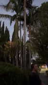 lew12001 Altpins Profile Picture