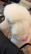 lew12001 Altpins Profile Picture