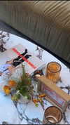 lew12001 Altpins Profile Picture