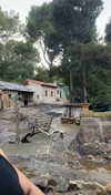 lew12001 Altpins Profile Picture