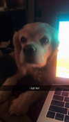 lew12001 Altpins Profile Picture