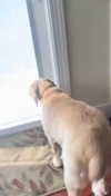lew12001 Altpins Profile Picture