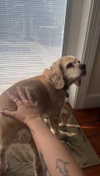 lew12001 Altpins Profile Picture