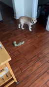 lew12001 Altpins Profile Picture