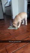 lew12001 Altpins Profile Picture