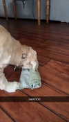 lew12001 Altpins Profile Picture