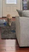 lew12001 Altpins Profile Picture
