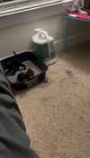 lew12001 Altpins Profile Picture