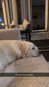 livvy_gymnast Altpins Profile Picture