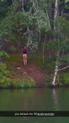livvy_gymnast Altpins Profile Picture