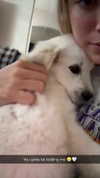 livvy_gymnast Altpins Profile Picture
